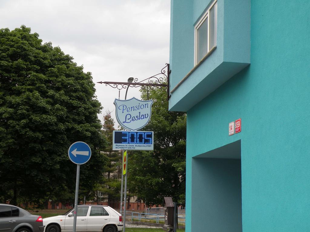 Penzion- Leslav Ceske Budejovice Bagian luar foto